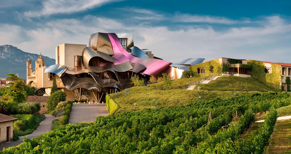 Rioja Wine Trips, Authentic Experiences.