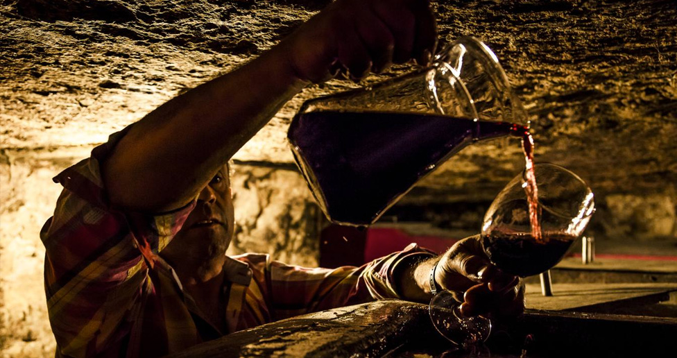 Rioja Wine Trips, Authentic Experiences.