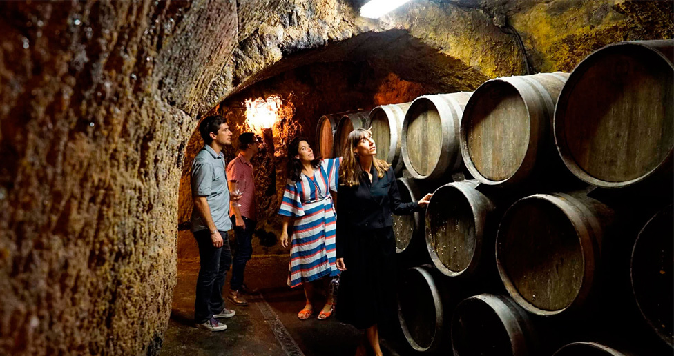Rioja Wine Trips, Authentic Experiences.